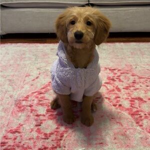 Meet your Posher, Jimmilyn